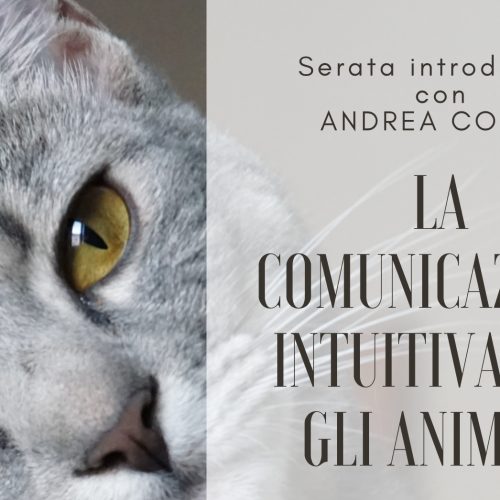 Animal Talk Italia 2022