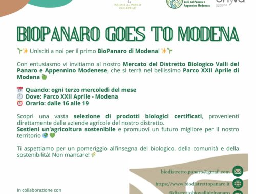 mercato biologico al Parco XXII aprile